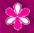 animation7.gif